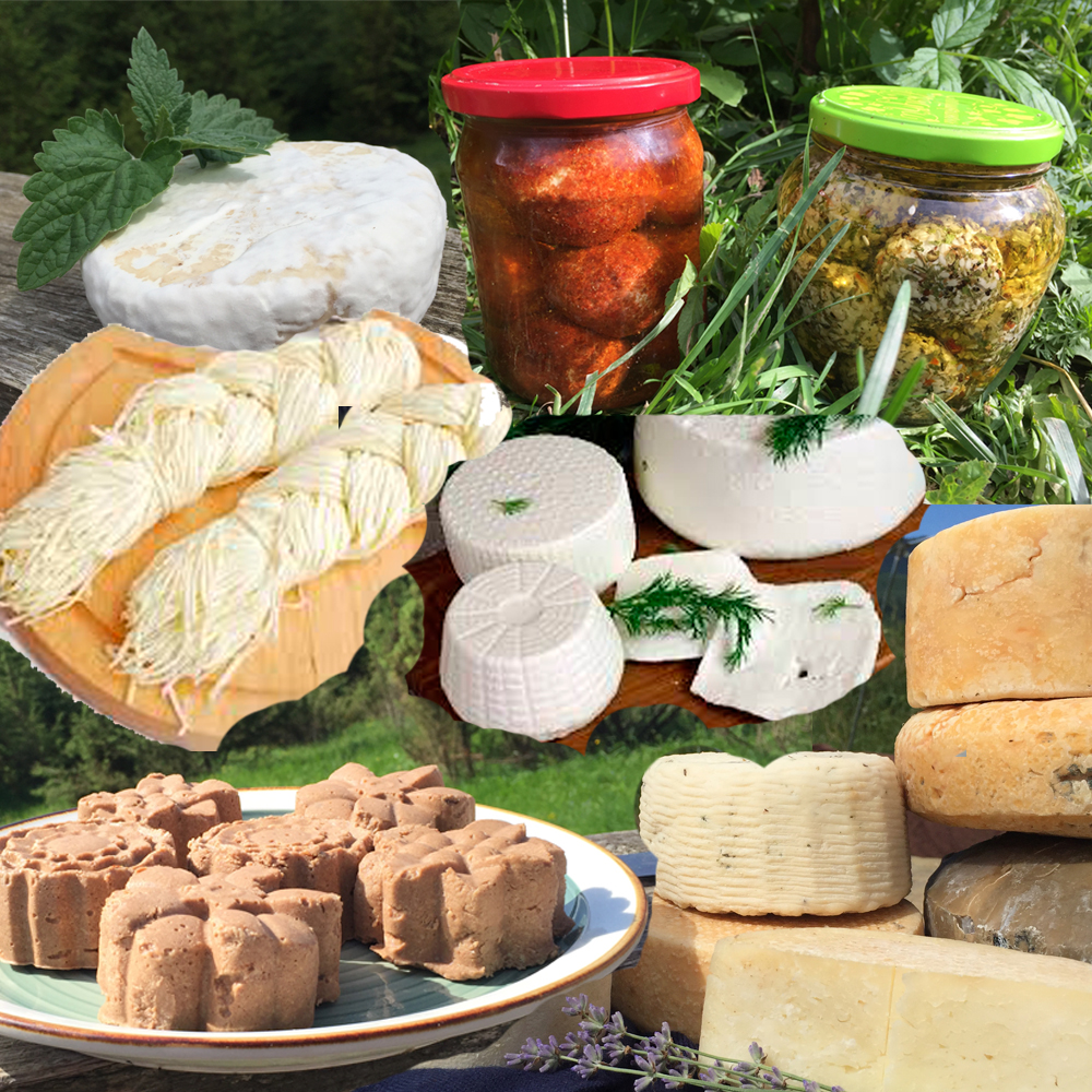 Мольфар Сыровар подписка ЗНАТОК