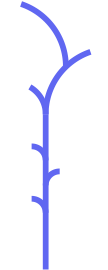 Bigplant1