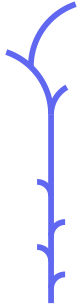 Bigplant5