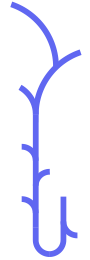 Bigplant6