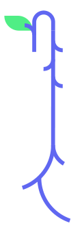 Blt circle stem1@2x