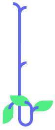 Blt circle stem3@2x