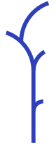 Card stem1@2x