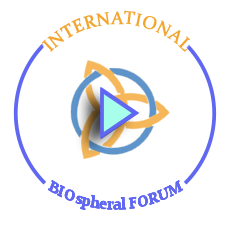 Video cta