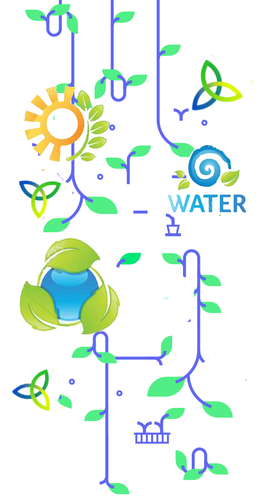 Whatis plant topbg@2x